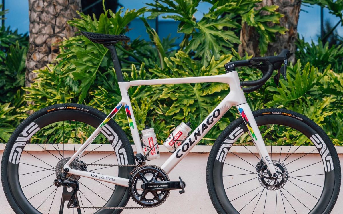 Colnago